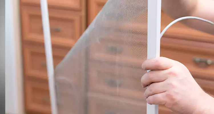 Privacy Mesh Screen Door Installation in Lynn Haven, FL