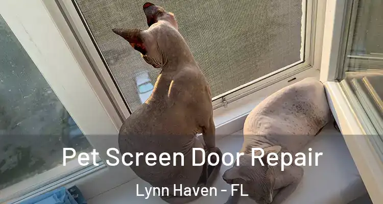  Pet Screen Door Repair Lynn Haven - FL